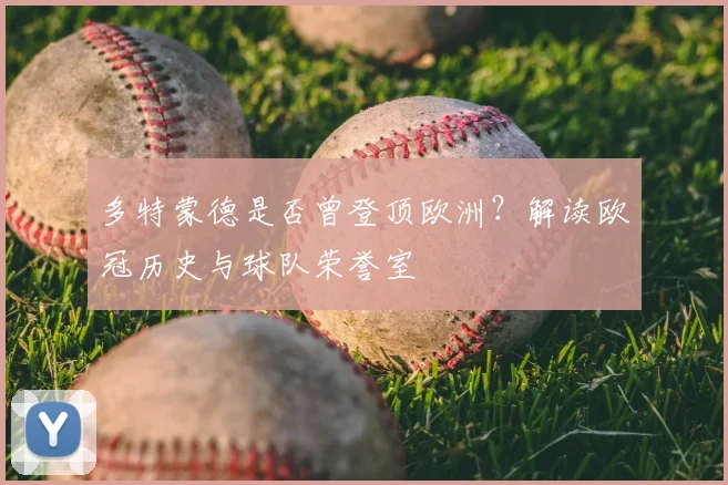 多特蒙德是否曾登顶欧洲？解读欧冠历史与球队荣誉室